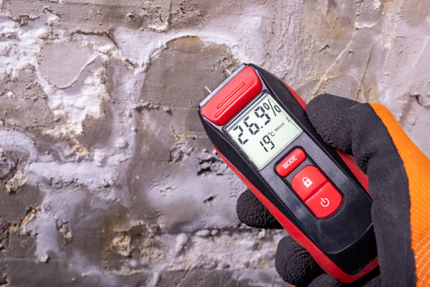 Best Post-Flood Mold Remediation in Orinda, CA