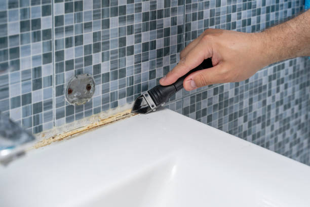 Best Mold Testing and Inspection Services in Orinda, CA